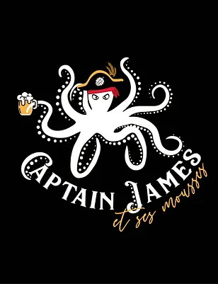 BIERE BIO CAPTAIN JAMES IPA 33CL