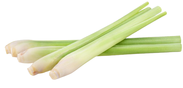 CITRONNELLE BIO 2 BATONS