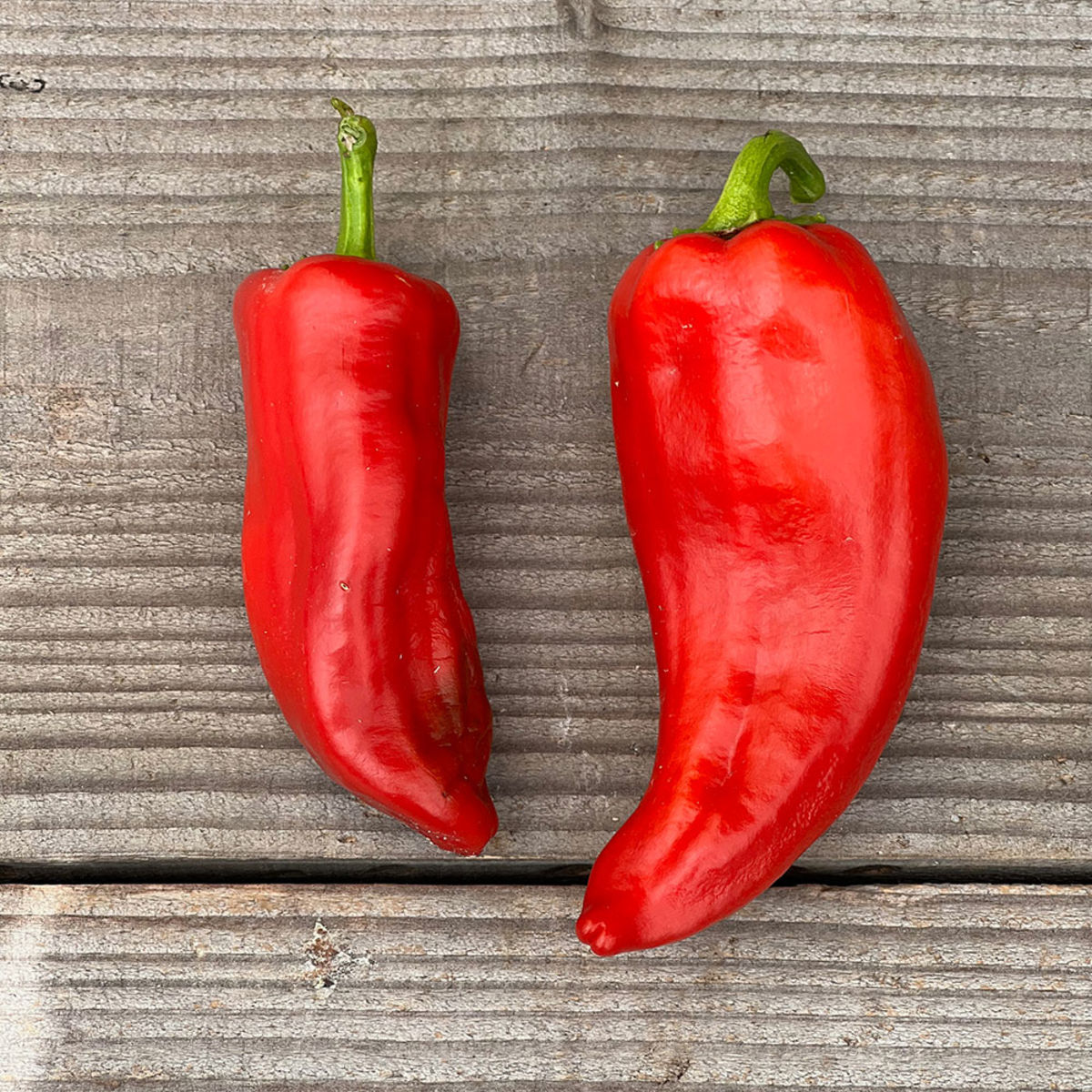 POIVRON BIO CORNU ROUGE