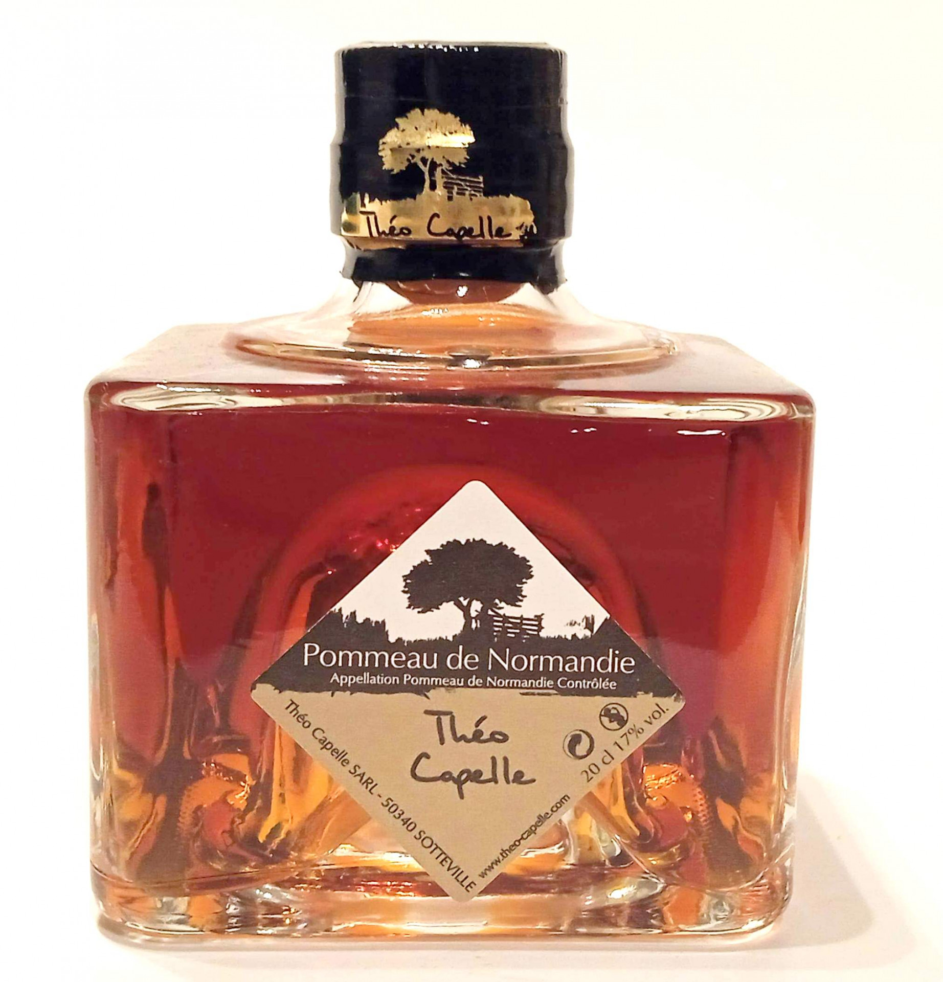 POMMEAU 70CL THEO CAPELLE