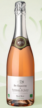 VINS