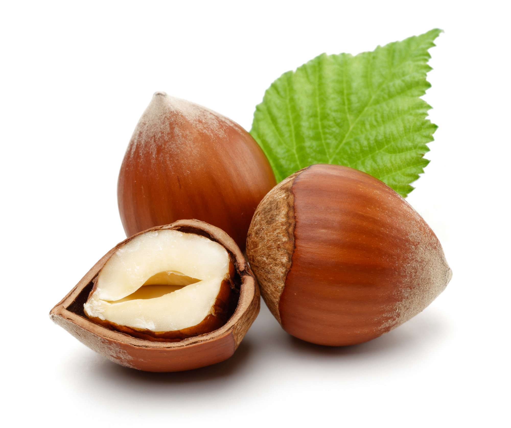 NOISETTE FRAÎCHE BARQ. 400G