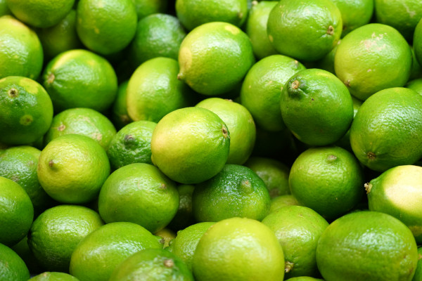 CITRON VERT BIO X 3