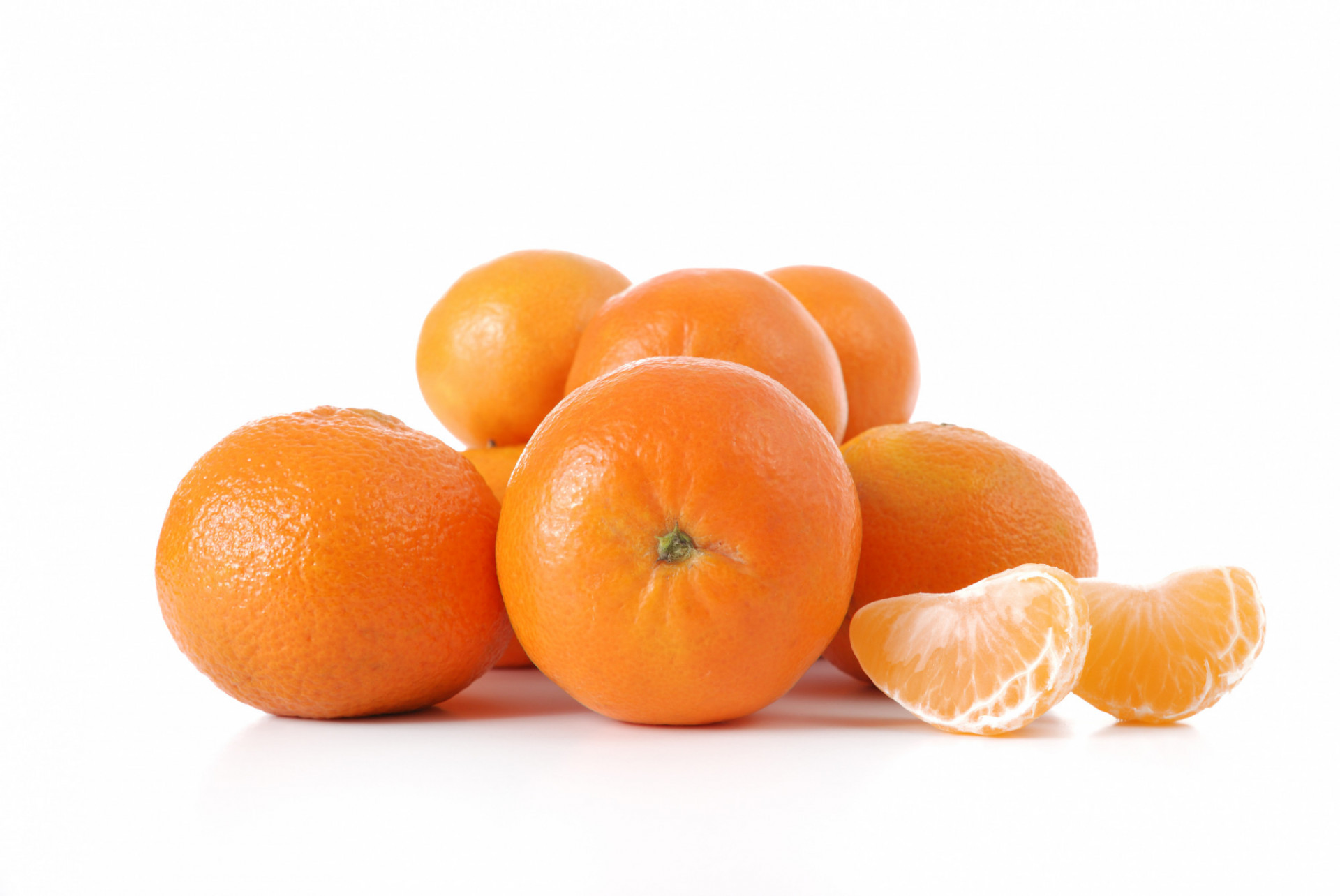 CLEMENTINE SOCULENTE