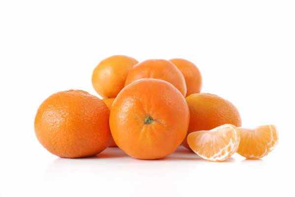 CLEMENTINE SOCULENTE