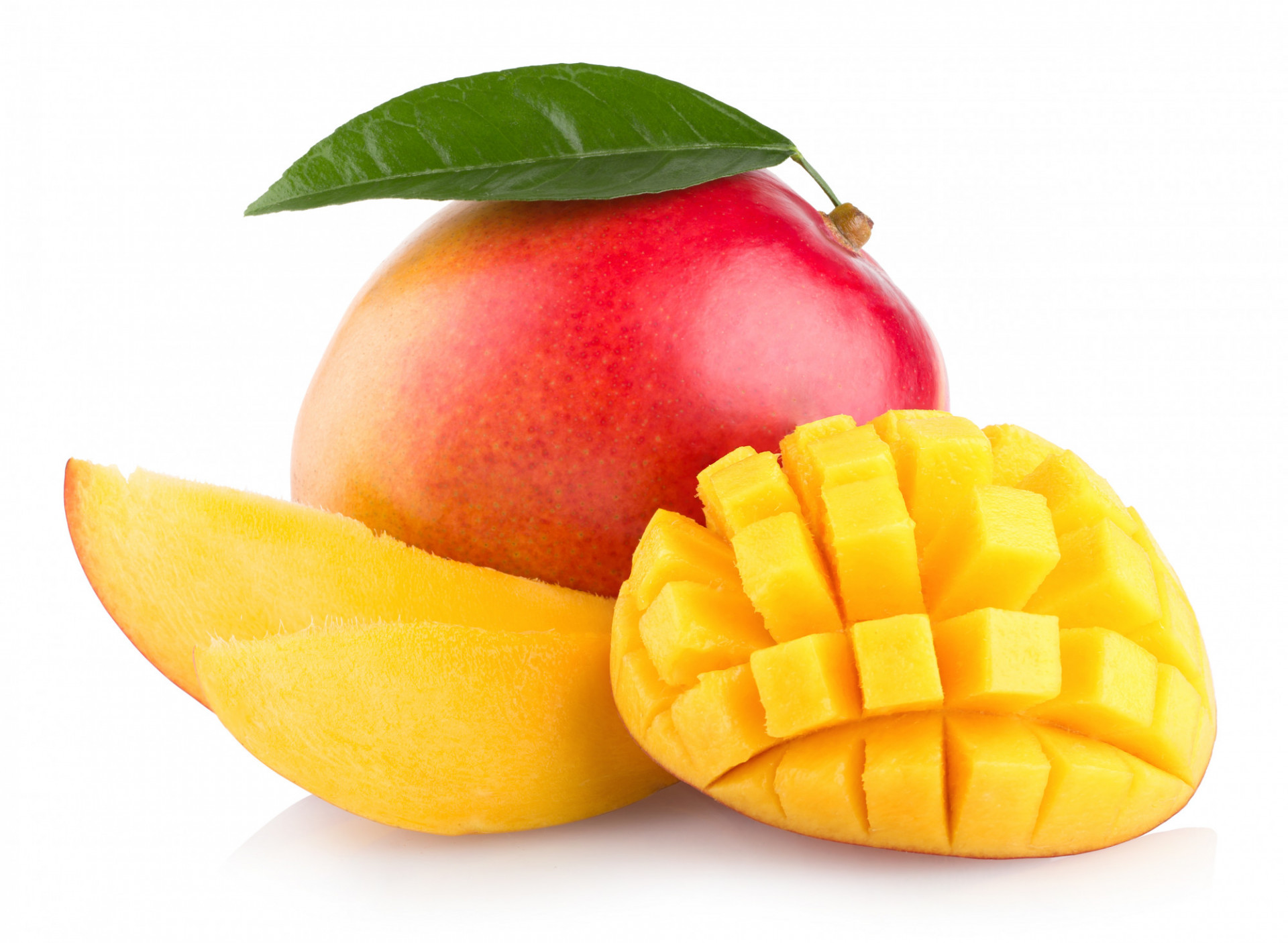 MANGUE KENT