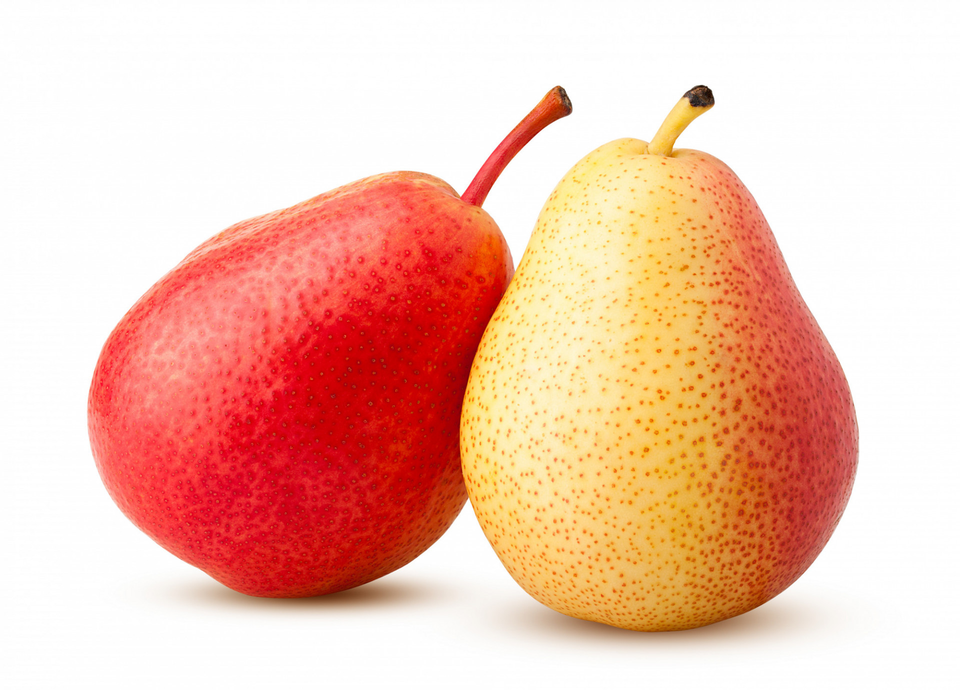 POIRE BIO WILLIAM ROUGE