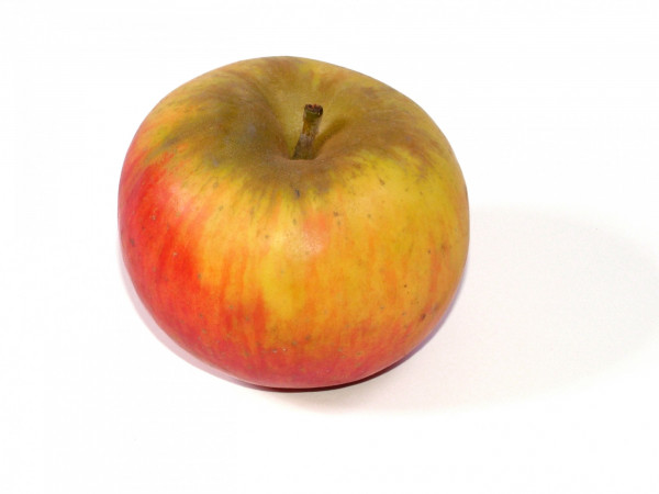 POMME BIO  SHAMPION 2KG 