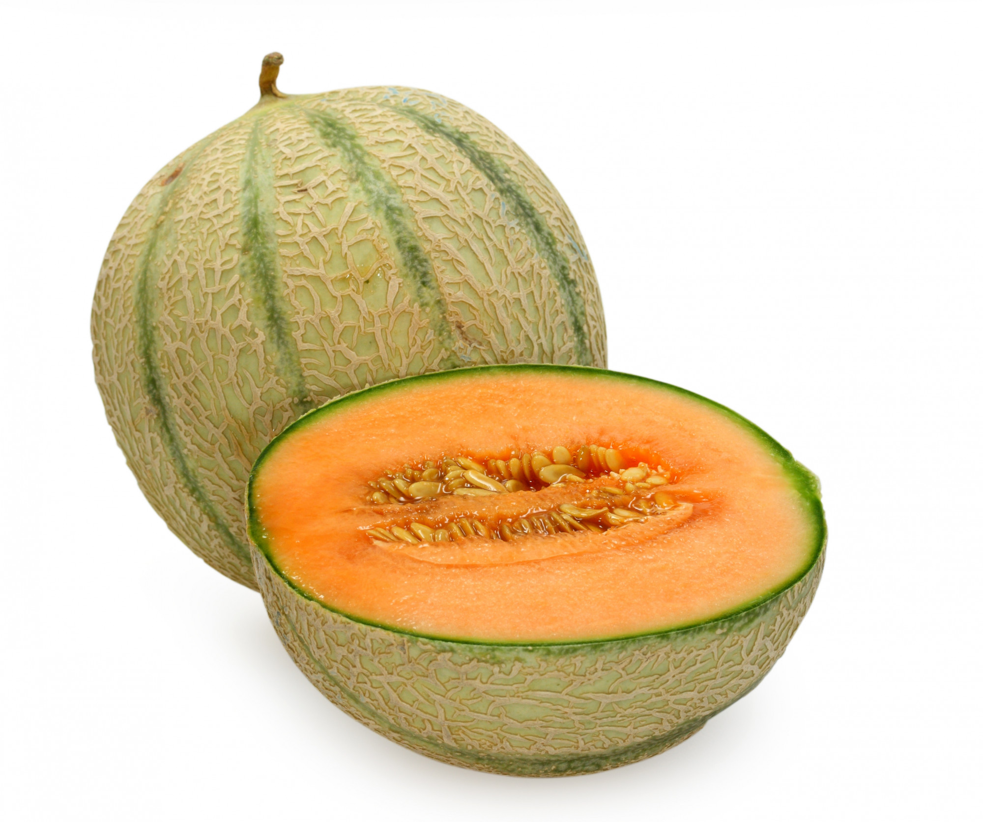 MELON  CAL. 15