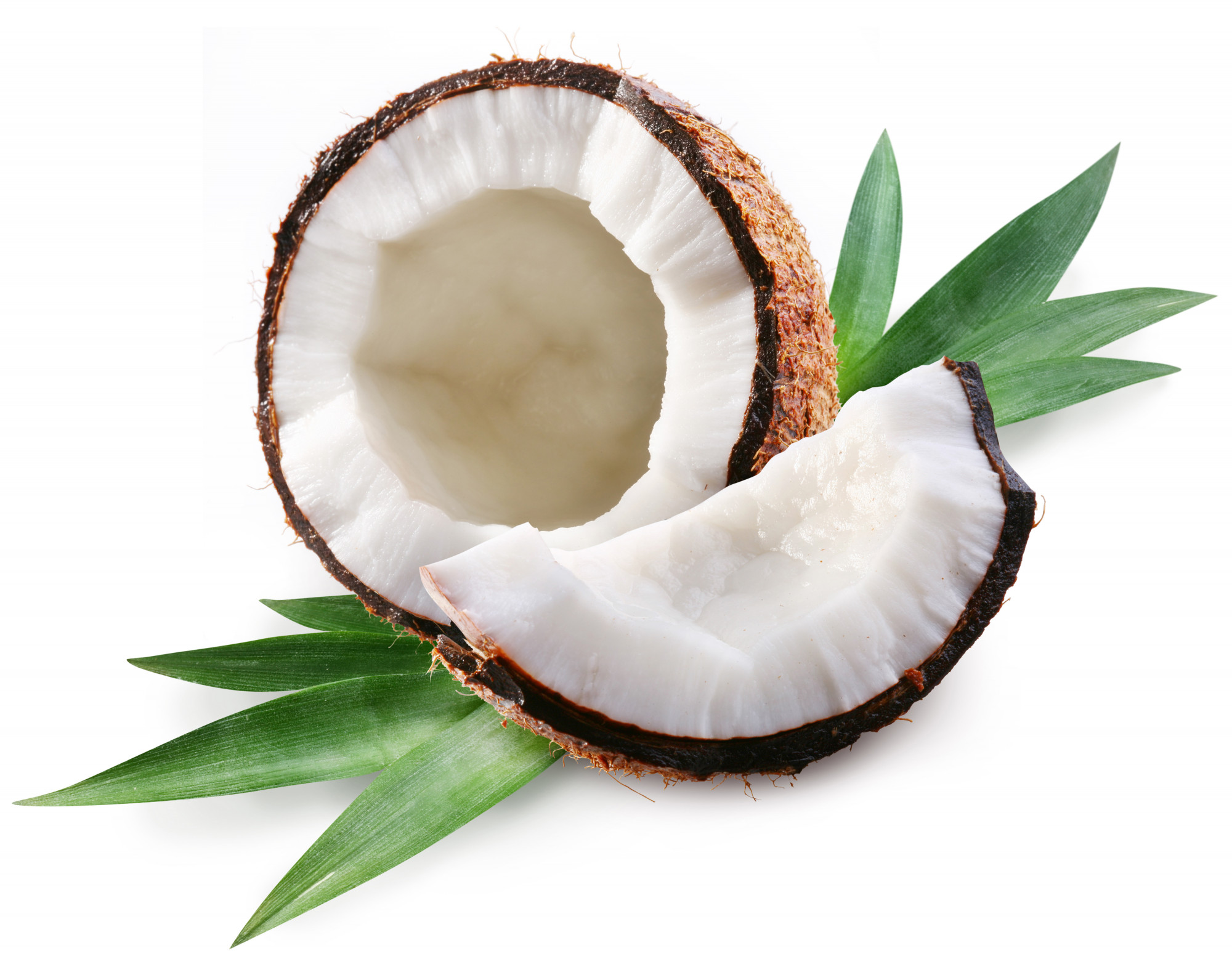 NOIX DE COCO BIO SÈCHE