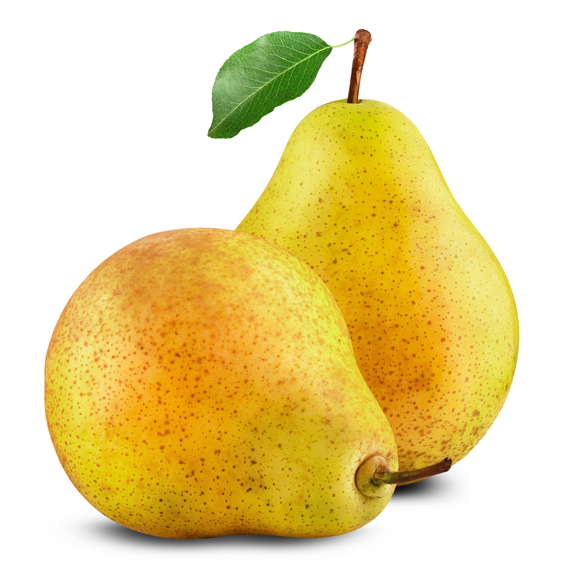 POIRE BIO CELINA