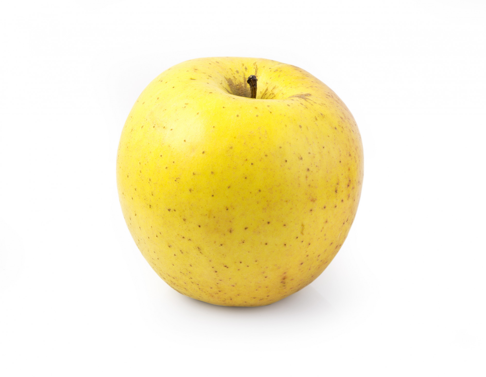 POMME CHANTECLERC