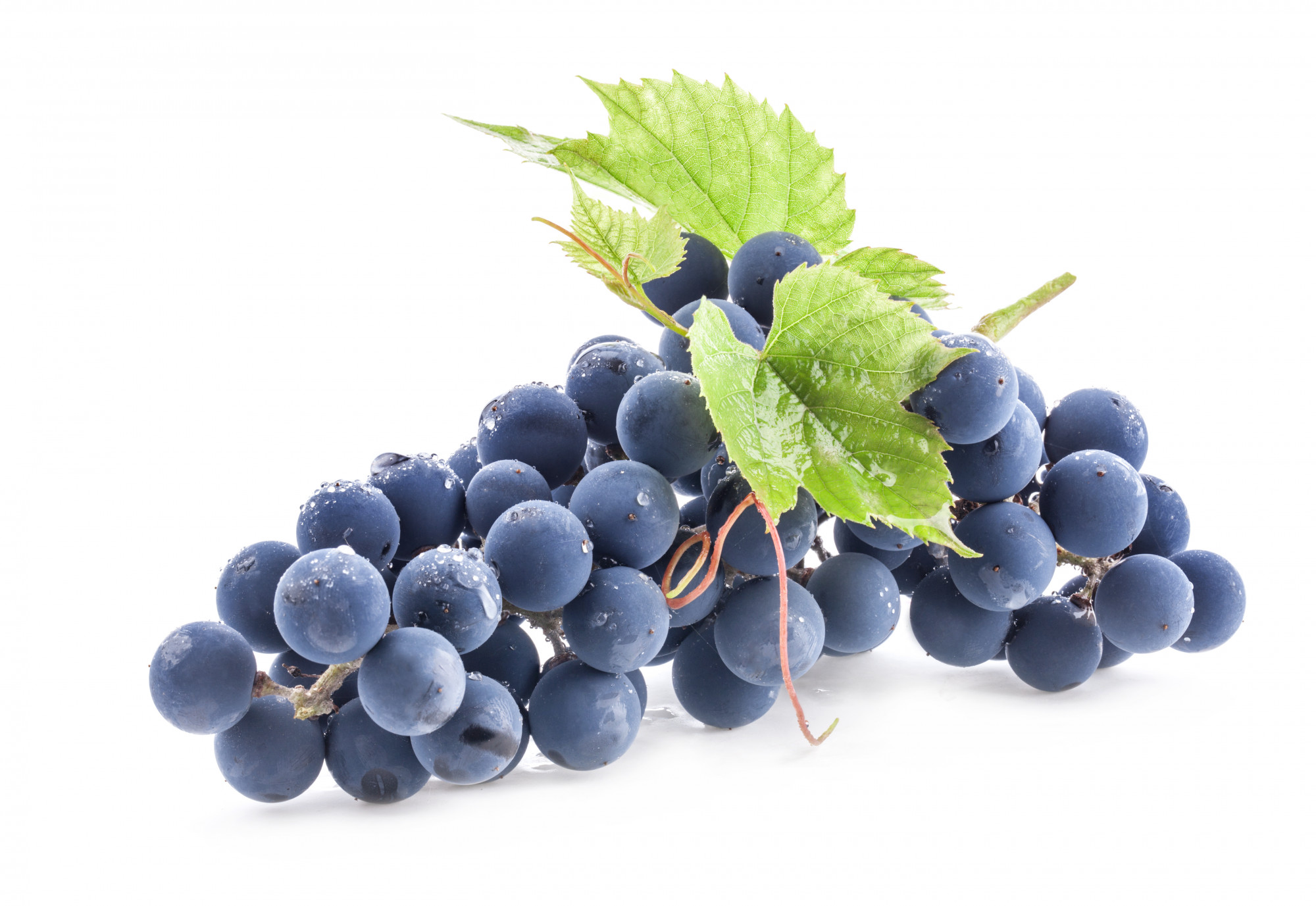 RAISIN BIO NOIR MUSCAT