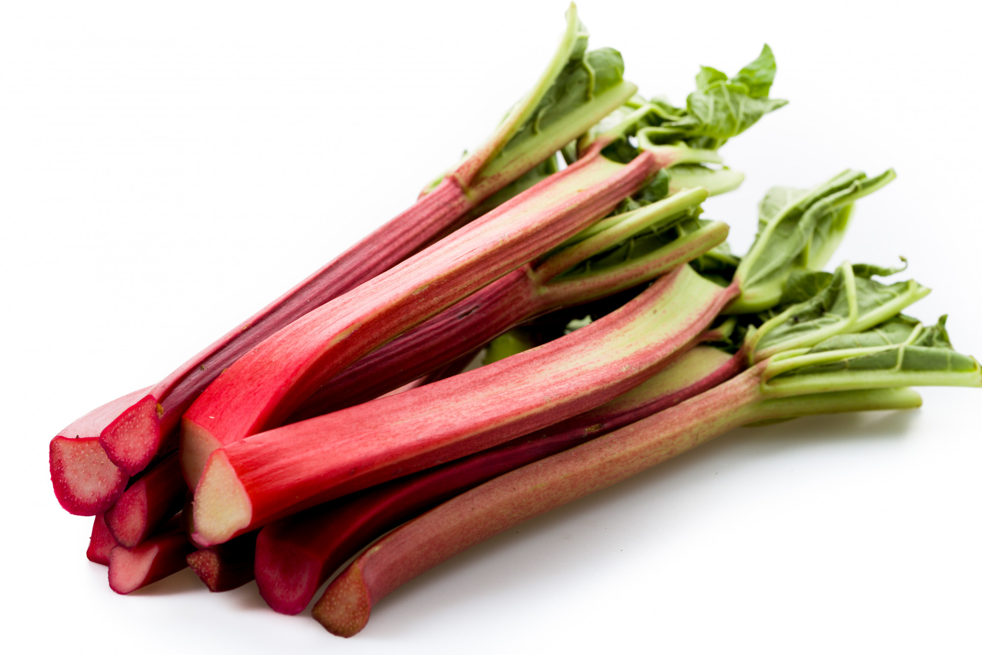 RHUBARBE