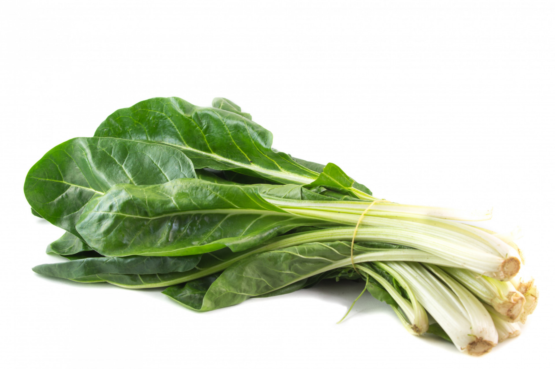 BLETTE BIO FEUILLE