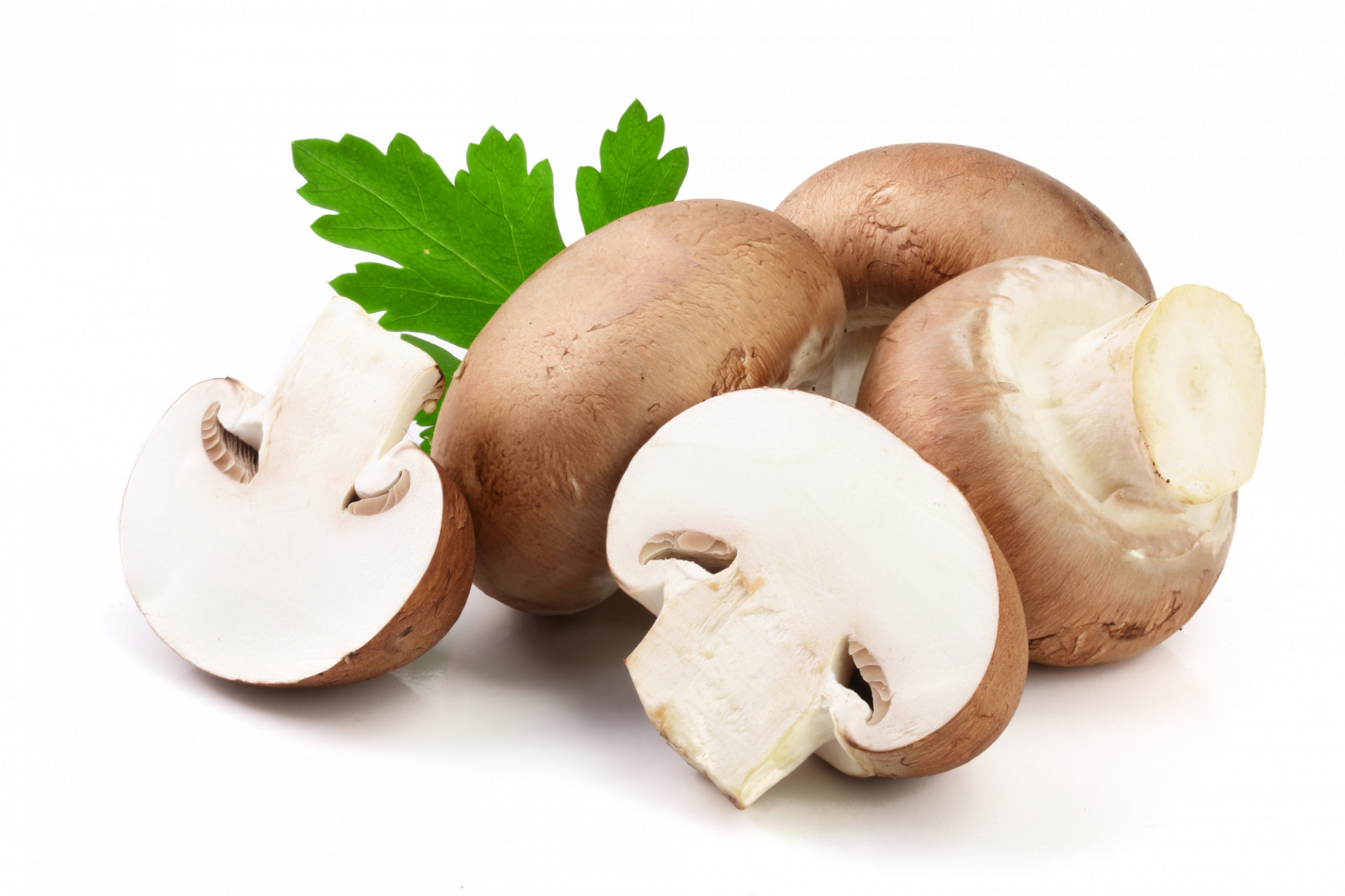 CHAMPIGNONS BLONDS 