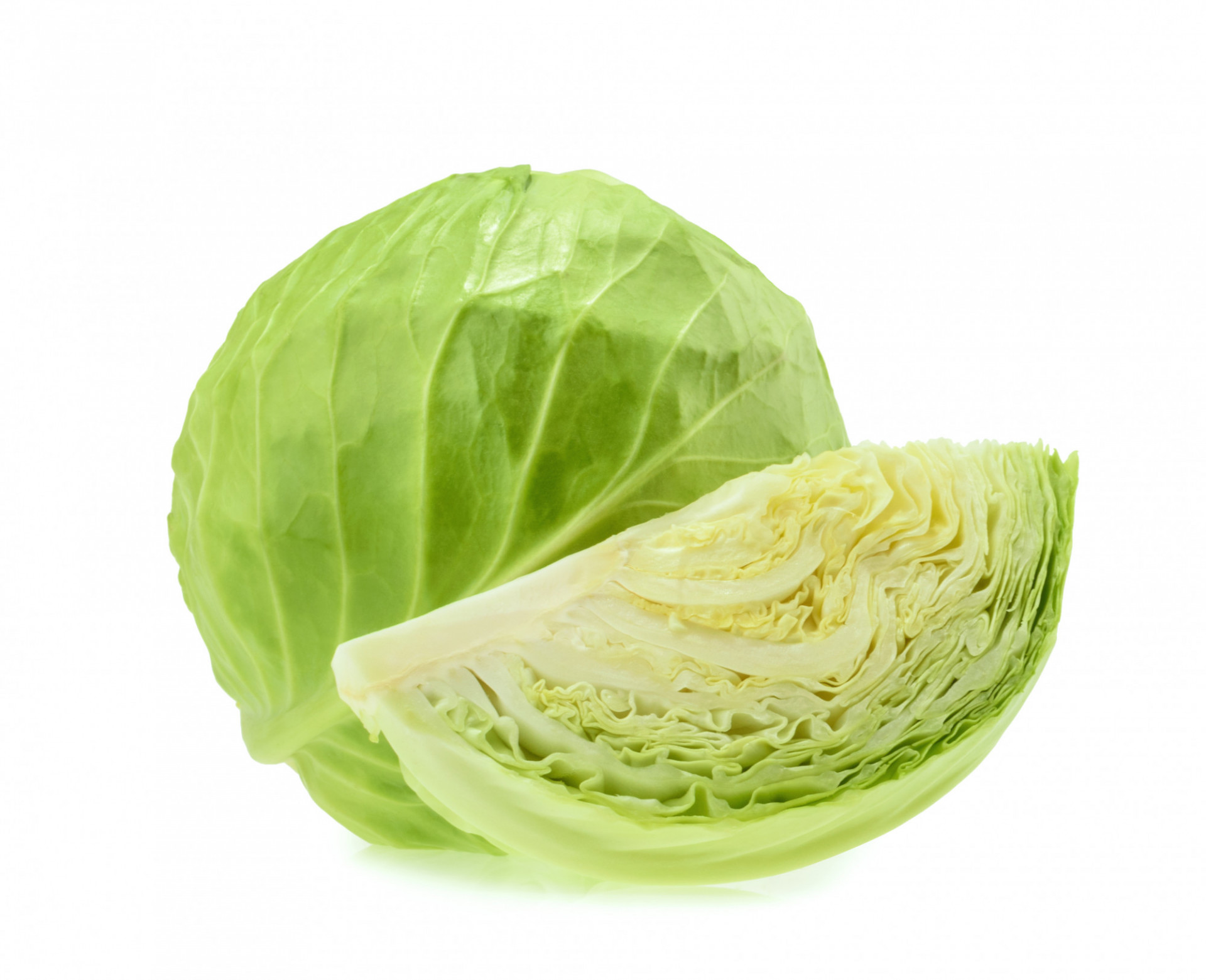 CHOU BIO BLANC