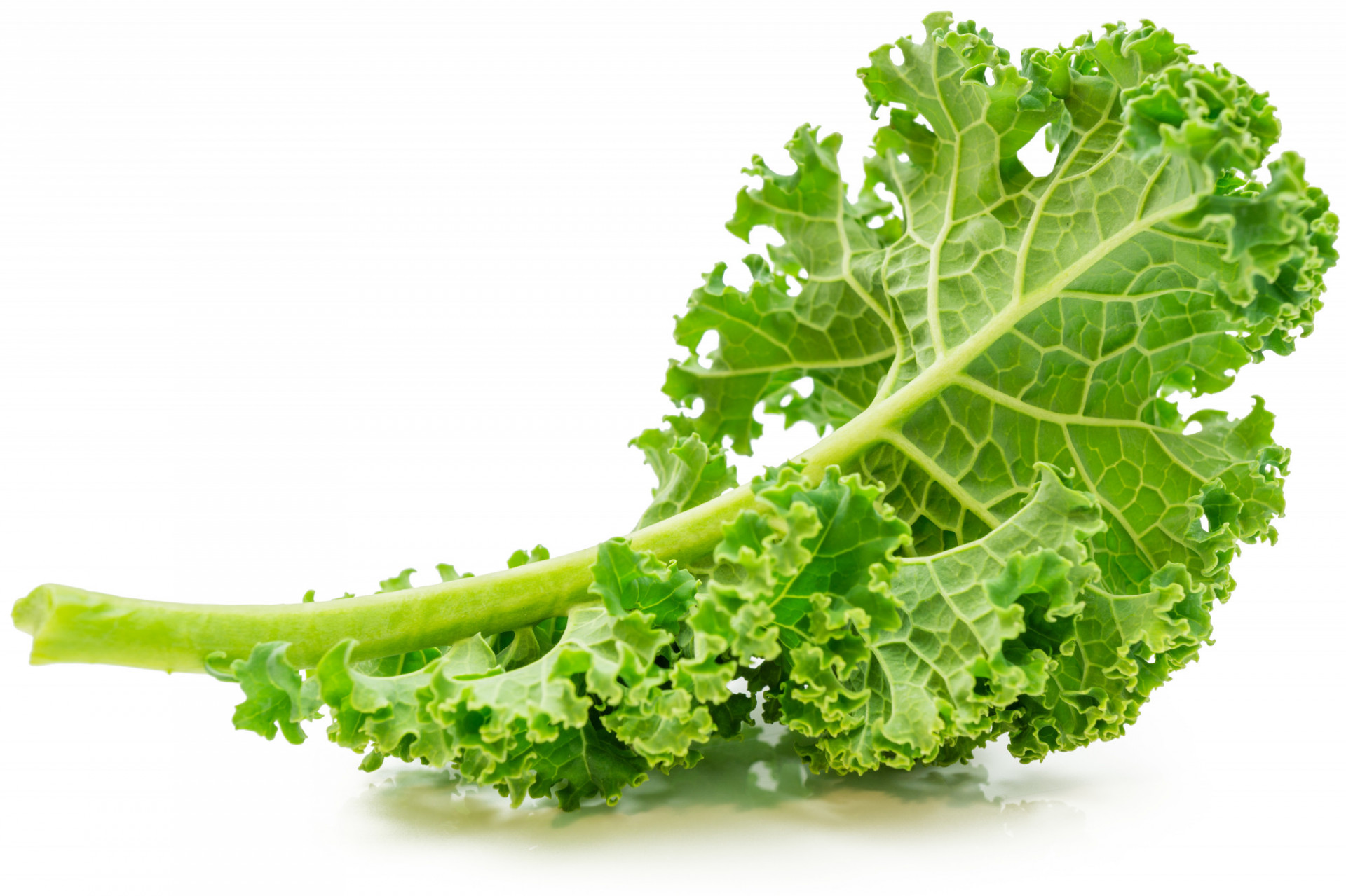 CHOU KALE VERT BIO