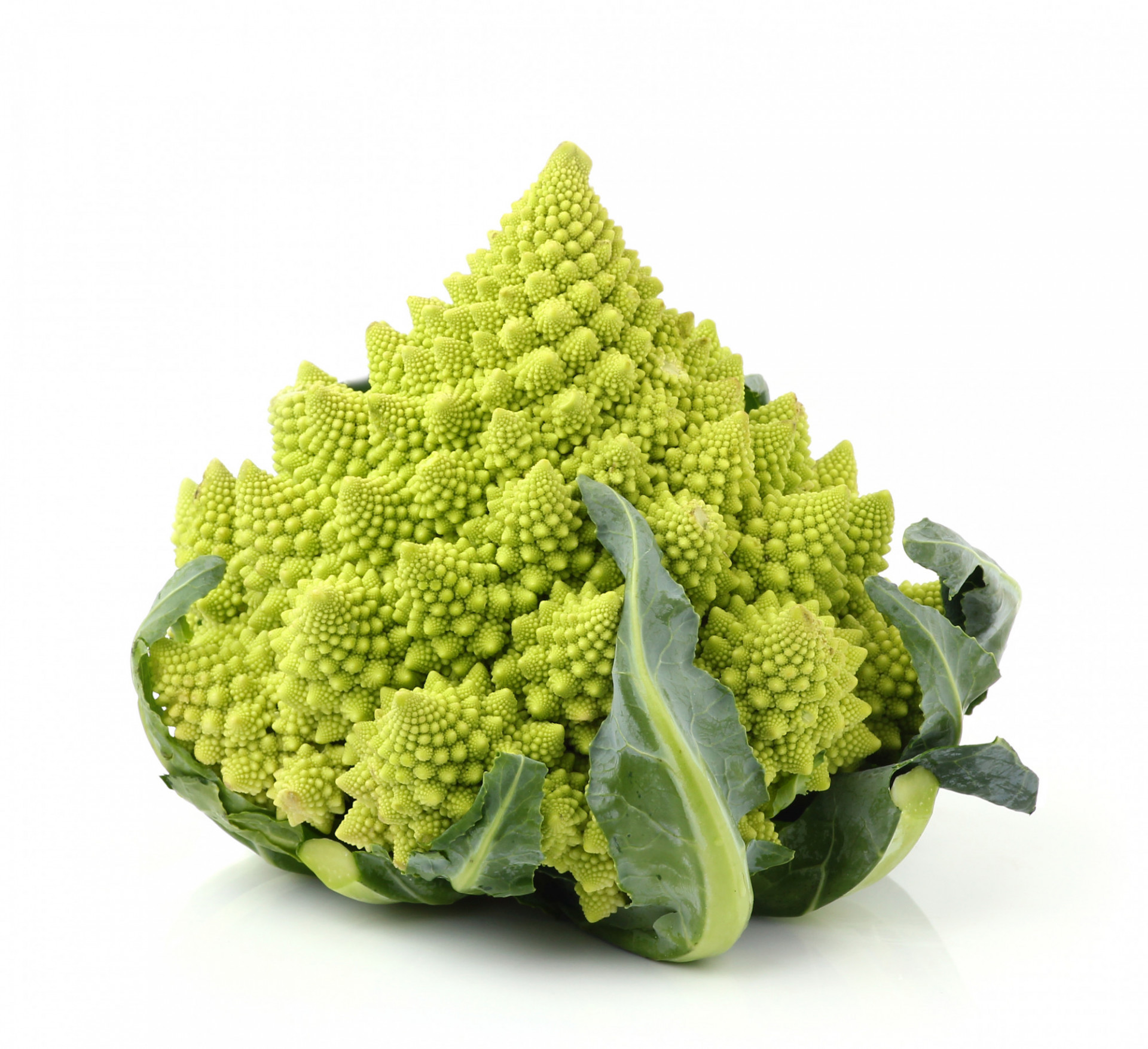 CHOU ROMANESCO BIO