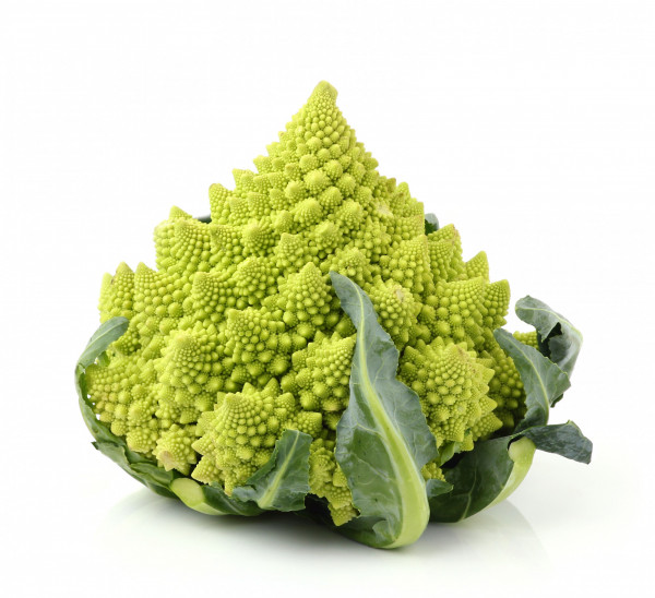 CHOU ROMANESCO BIO