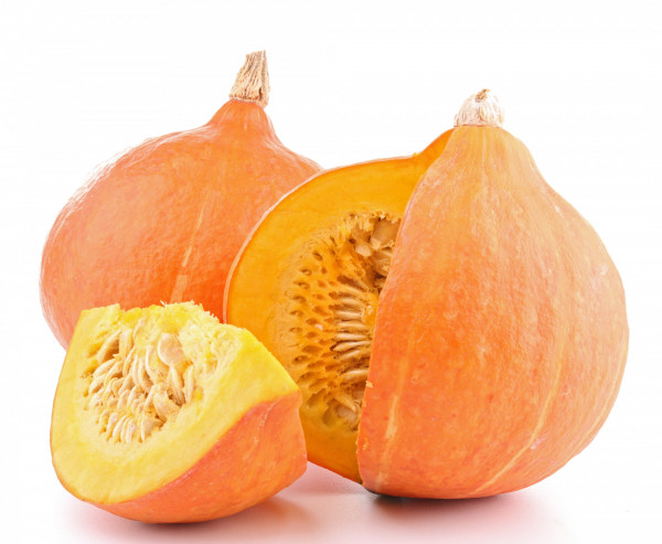 COURGE BIO POTIMARRON