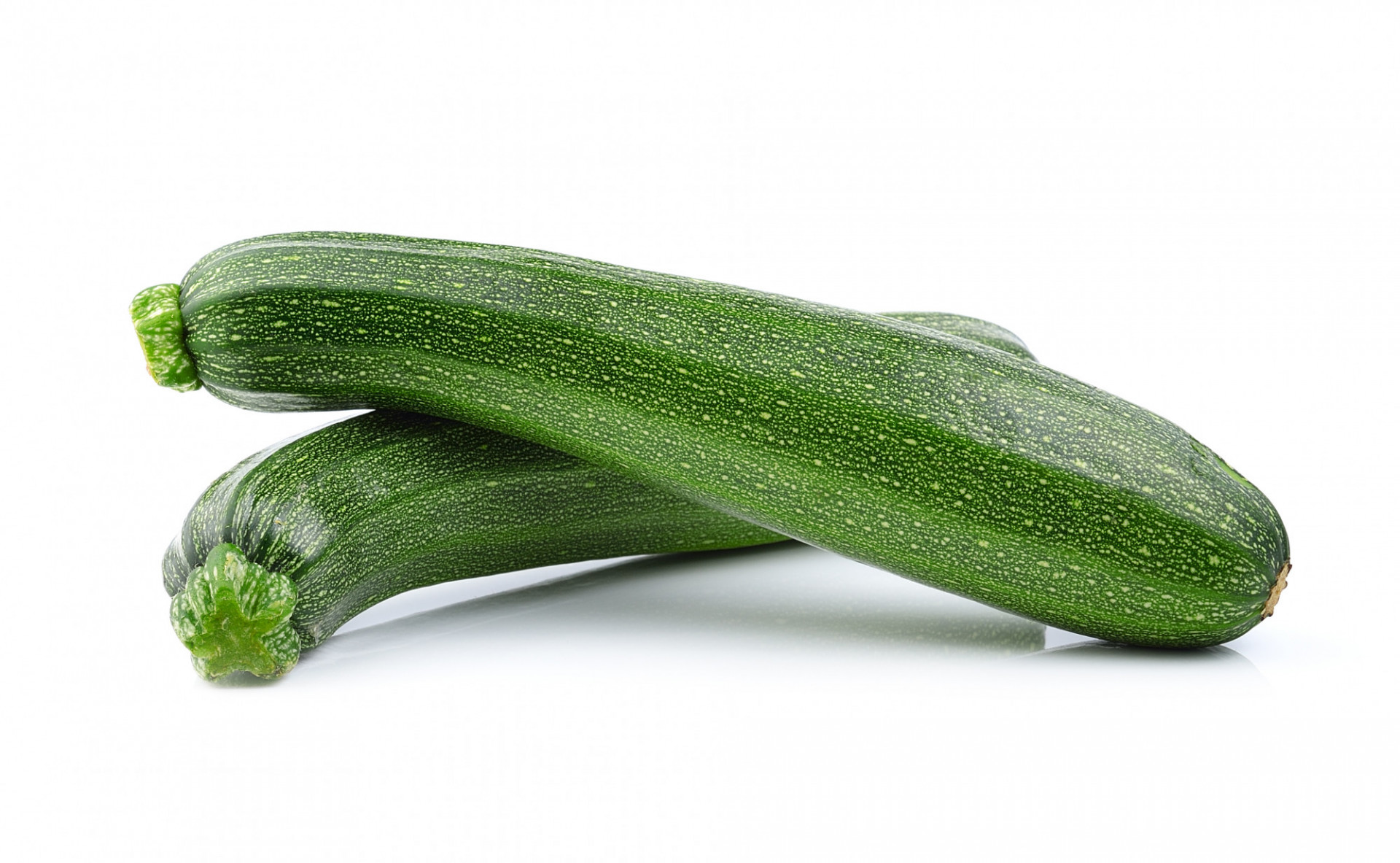 COURGETTE BIO 