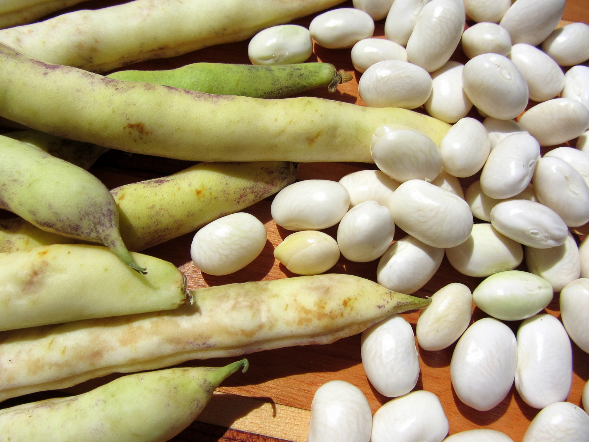 HARICOT BIO COCO BLANC