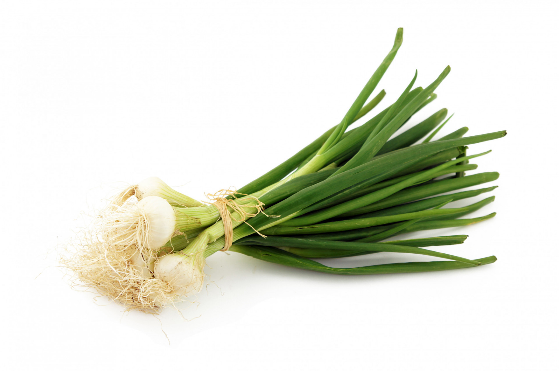 OIGNON  BIO BLANC FRAIS BOTTE 