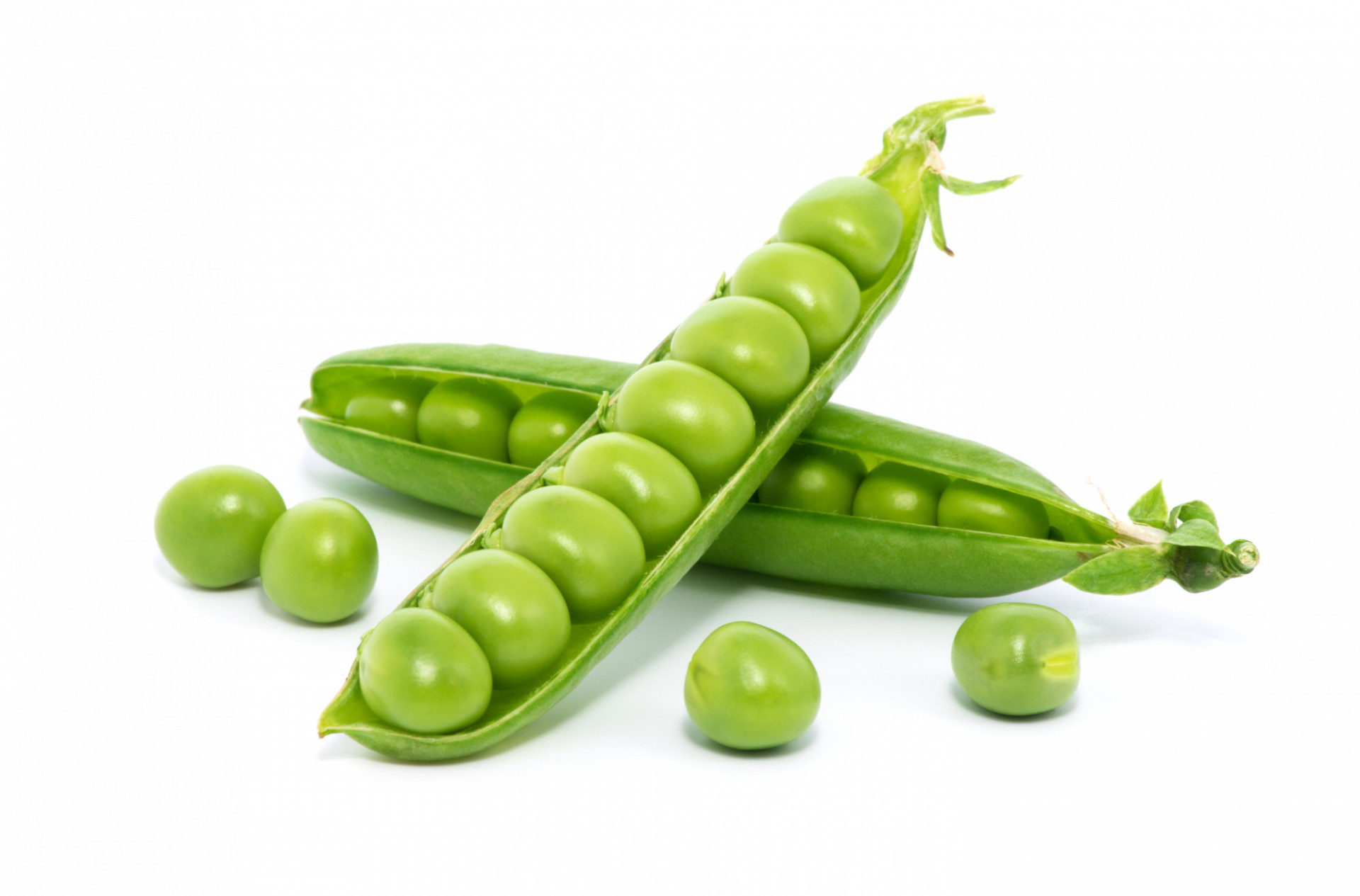 PETITS POIS BIO