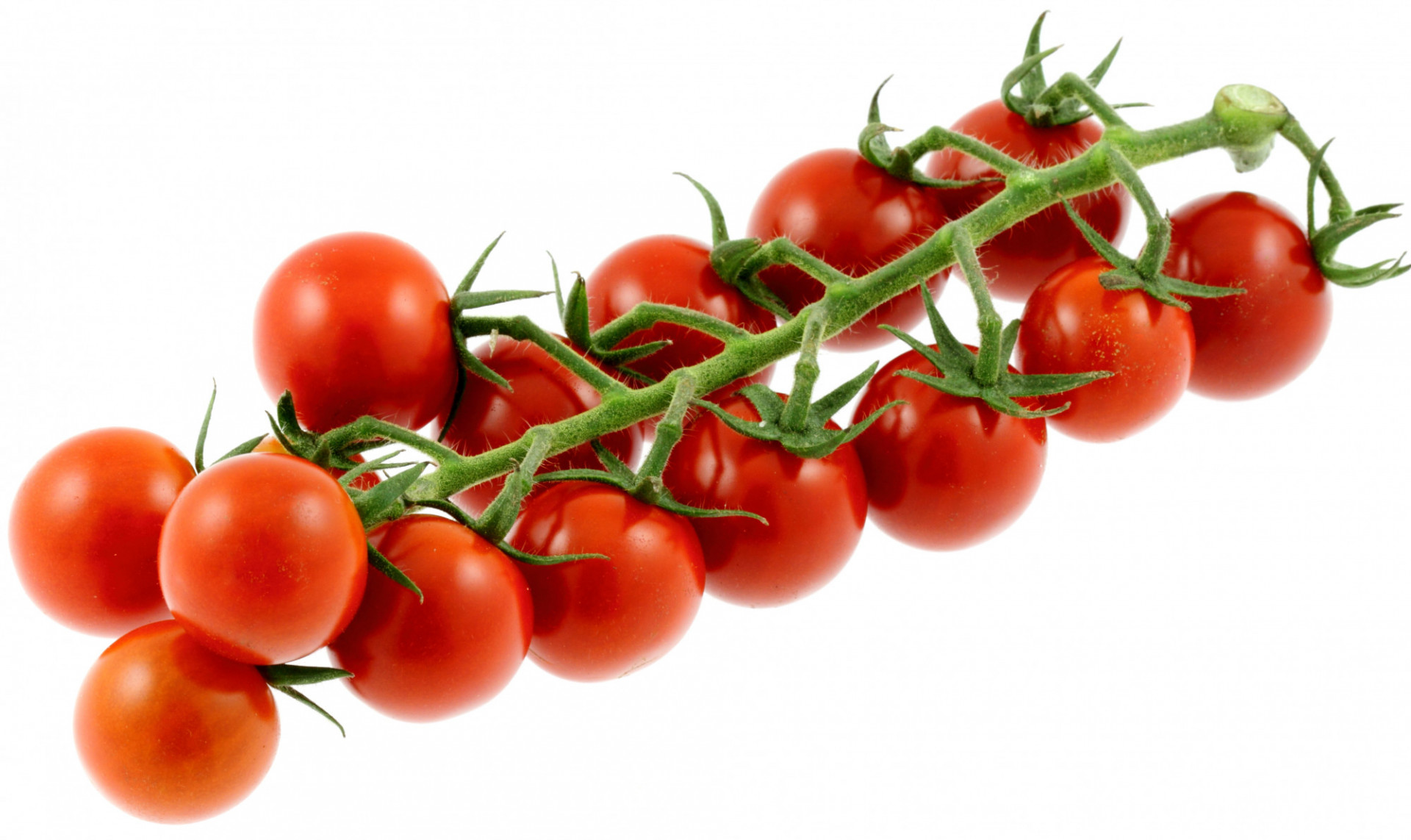 TOMATE BIO CERISE GRAPPE