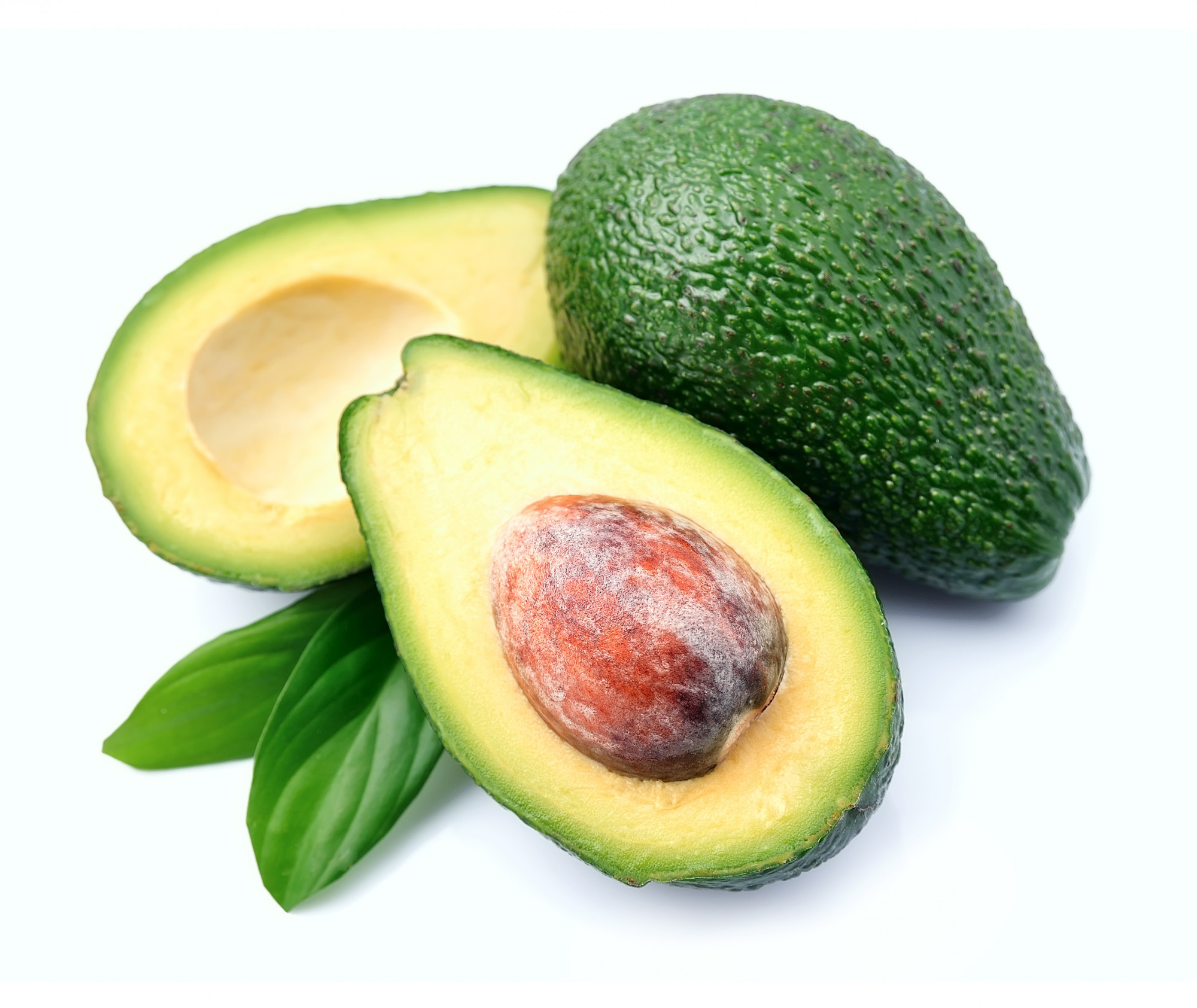 AVOCAT BIO  LOT DE 3
