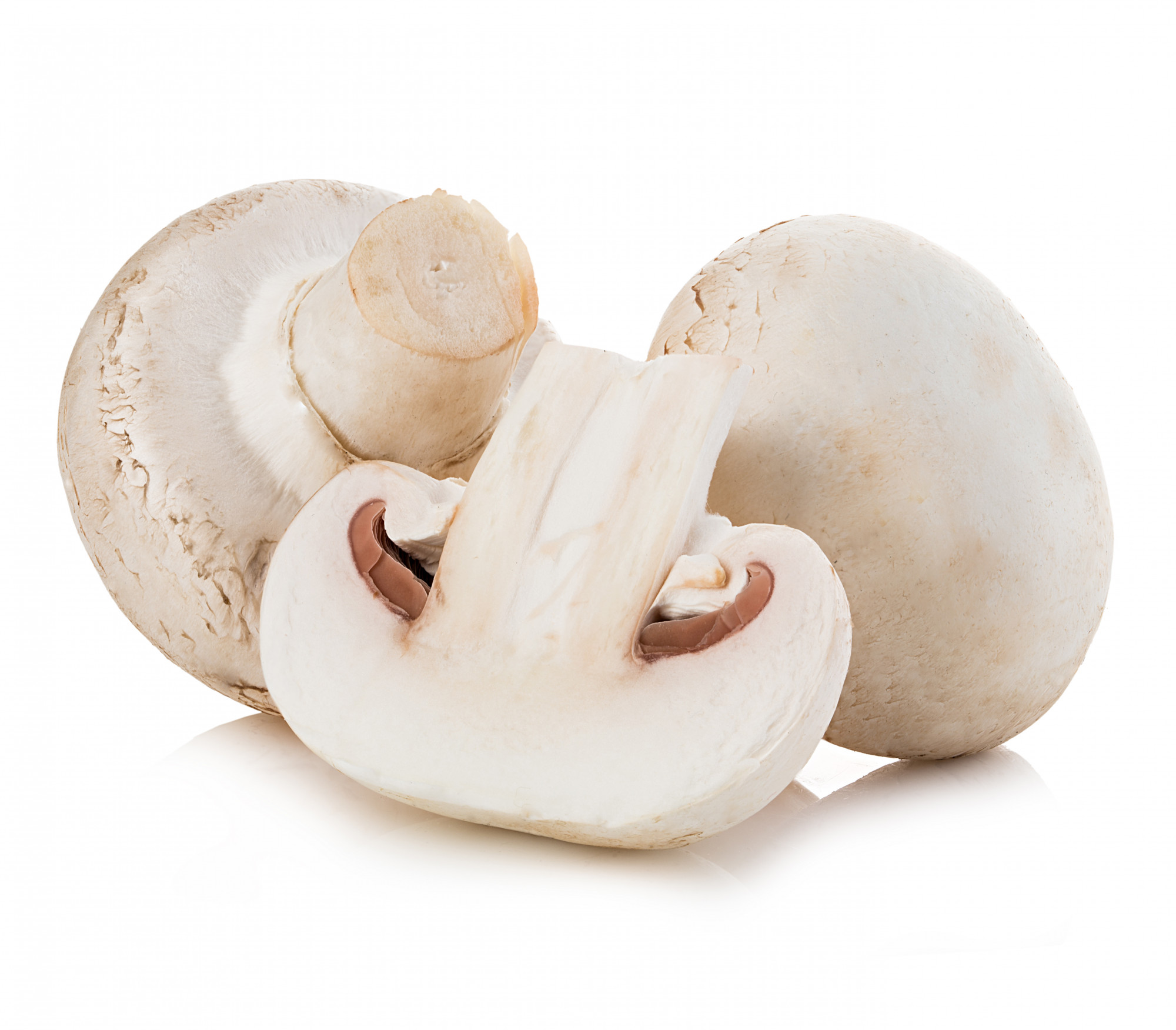 CHAMPIGNONS BLANC 