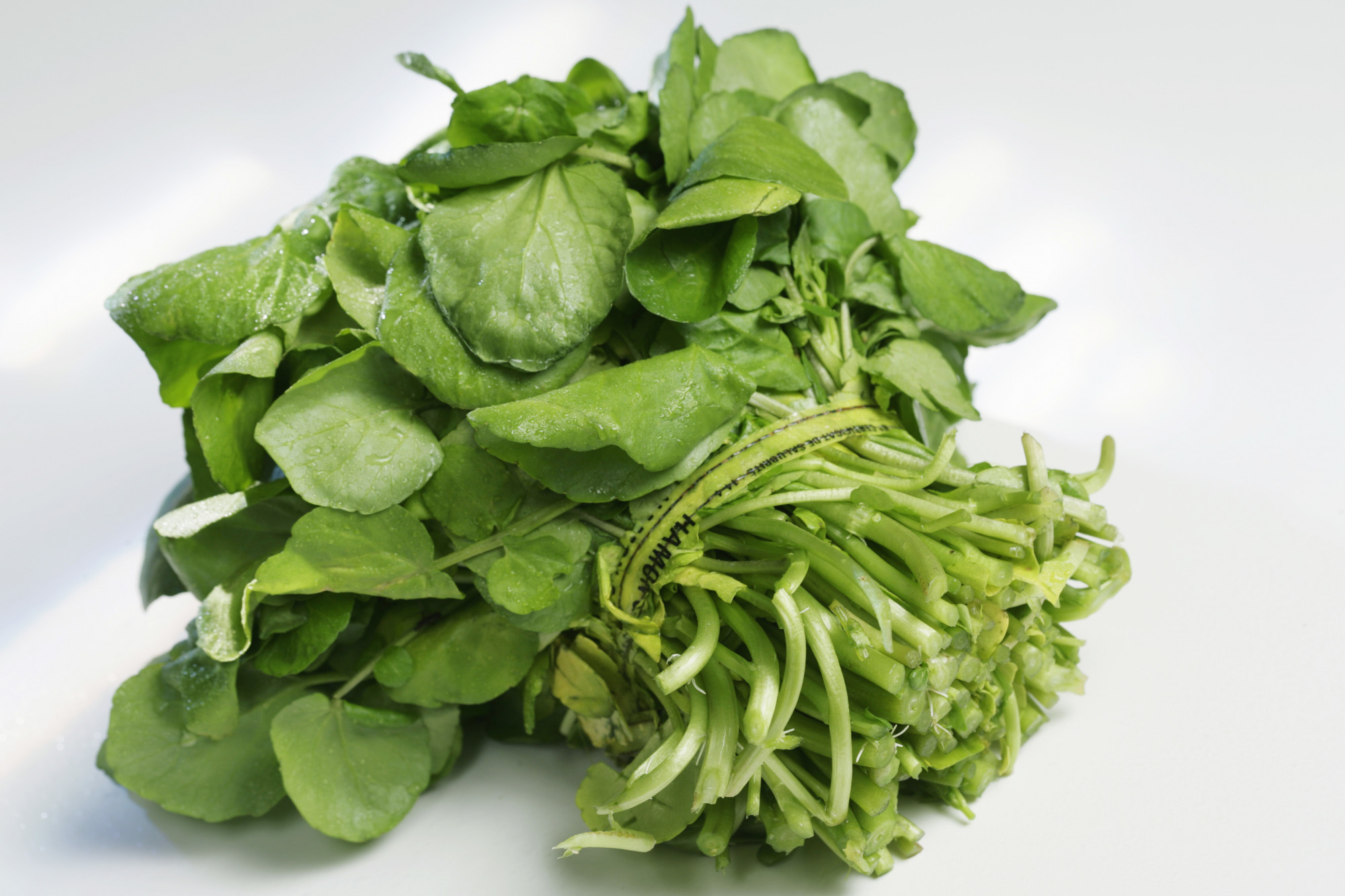 SALADE CRESSON BOTTE