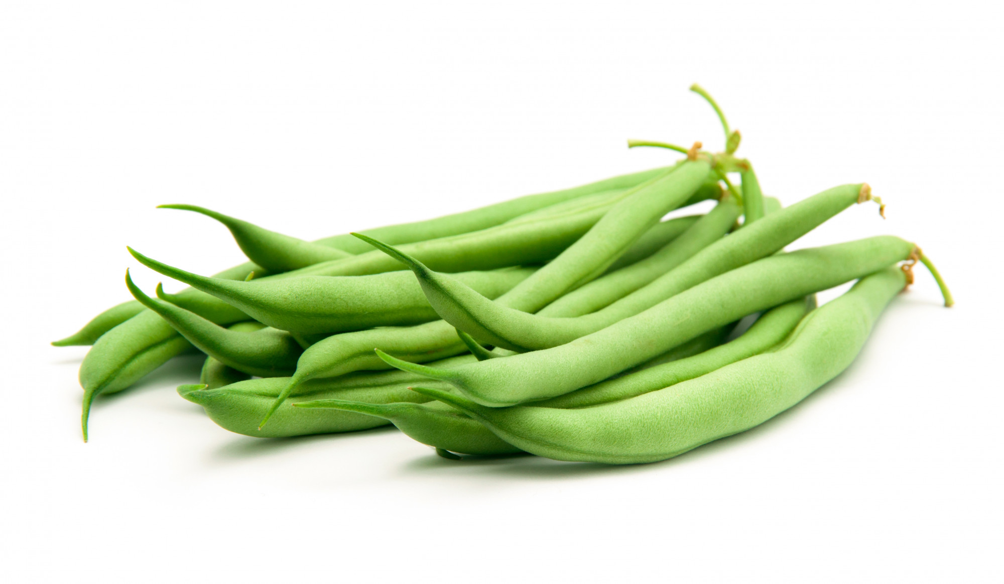 HARICOT BIO VERT
