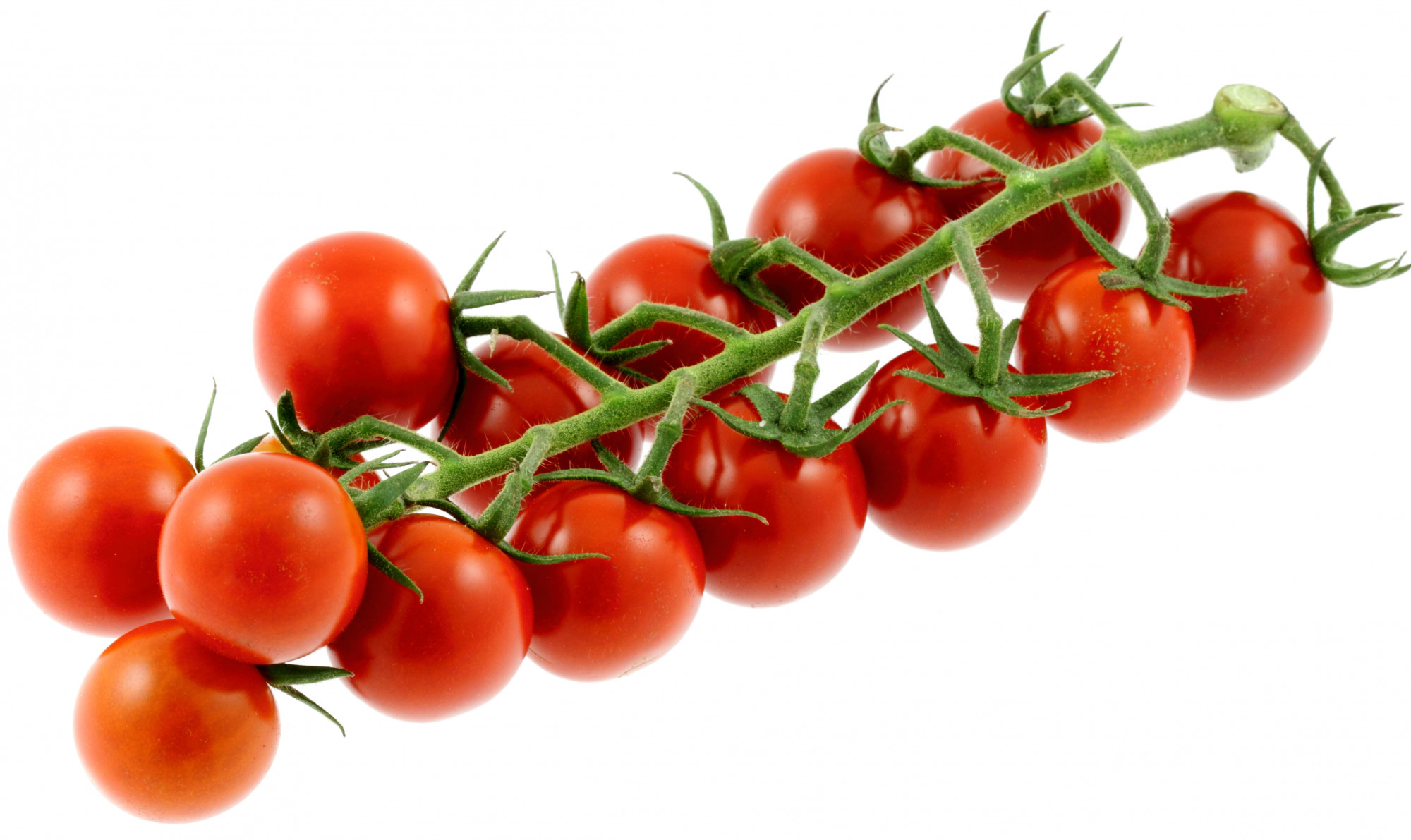 TOMATE BIO CERISE GRAPPE
