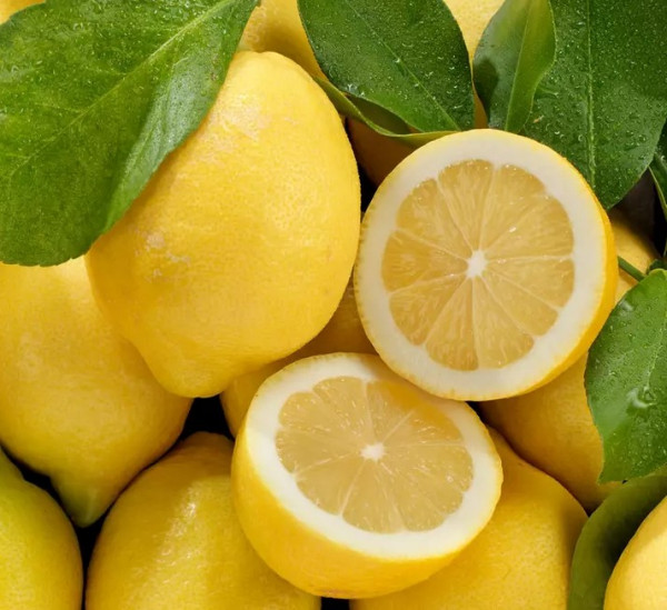 CITRON JAUNE FEUILLE