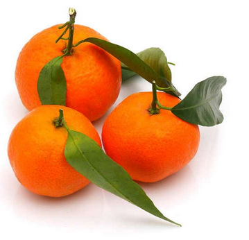 CLEMENTINE BIO