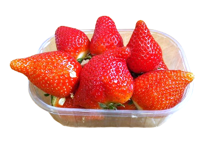 FRAISE FAVORI 250G