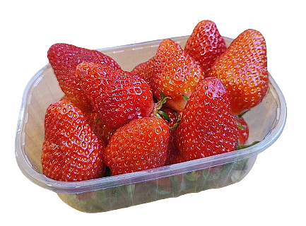 FRAISE GARIGUETTE 250G