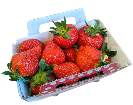 FRAISE BIO MANON 250G