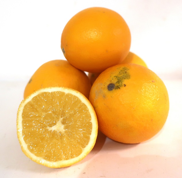 ORANGE BIO À JUS