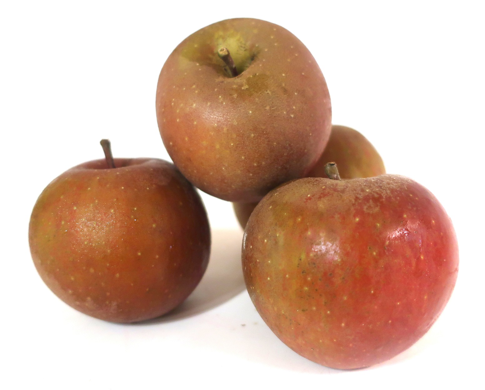 POMME BIO BOSKOOP