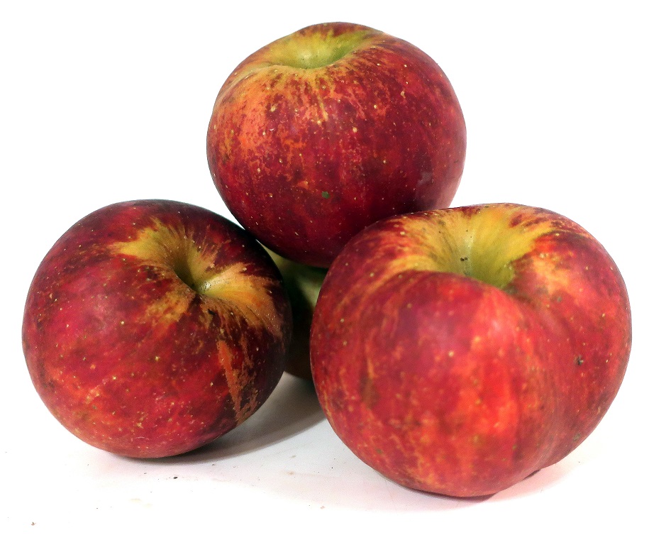 POMME BIO  SHAMPION