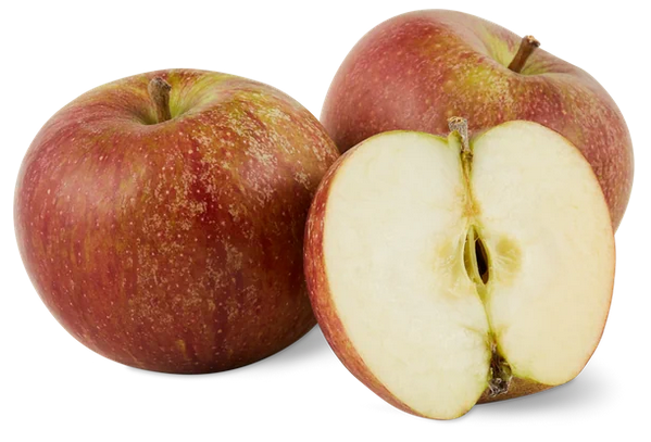 POMME COX ORANGE