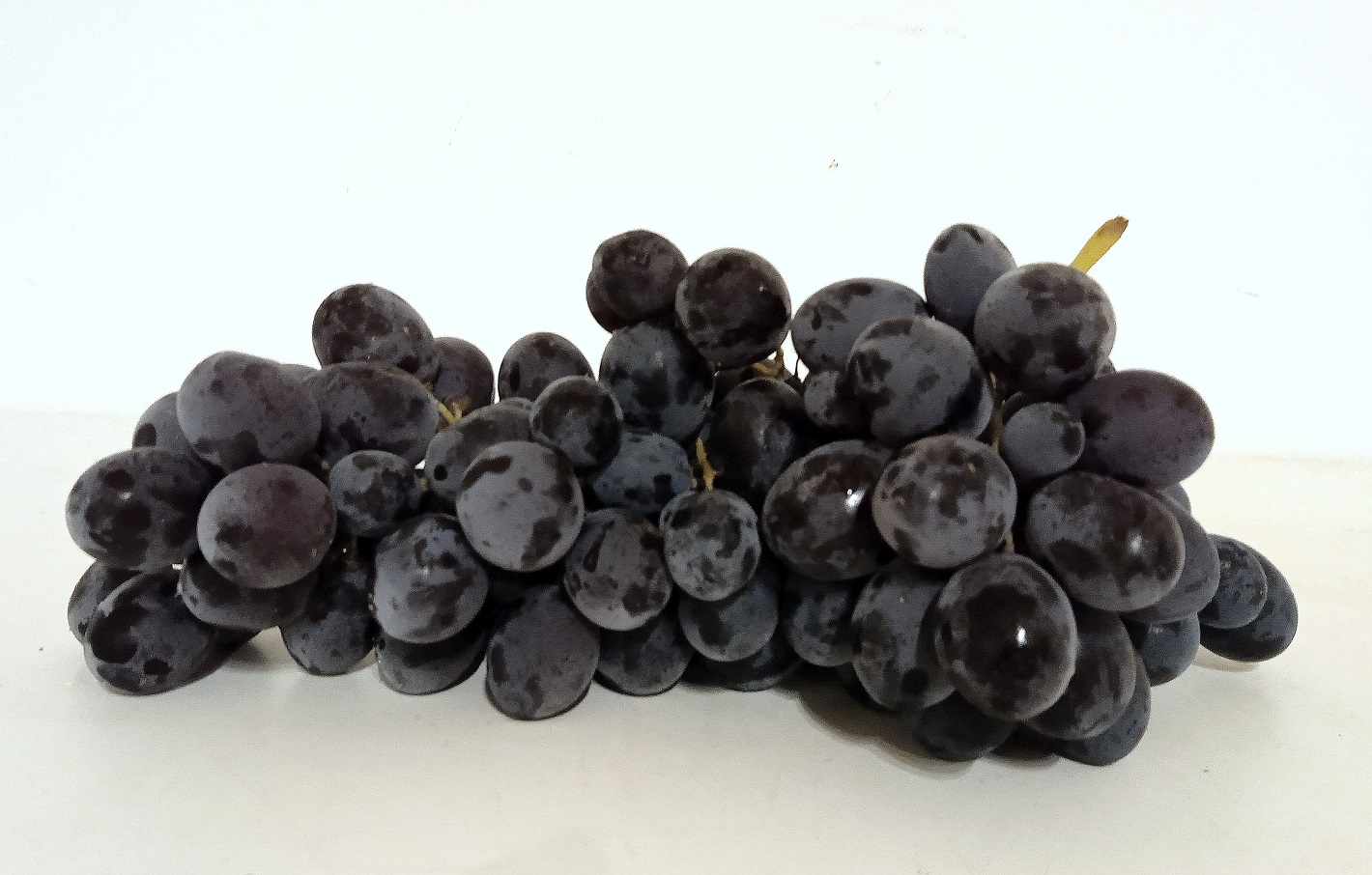 RAISIN NOIR MUSCAT