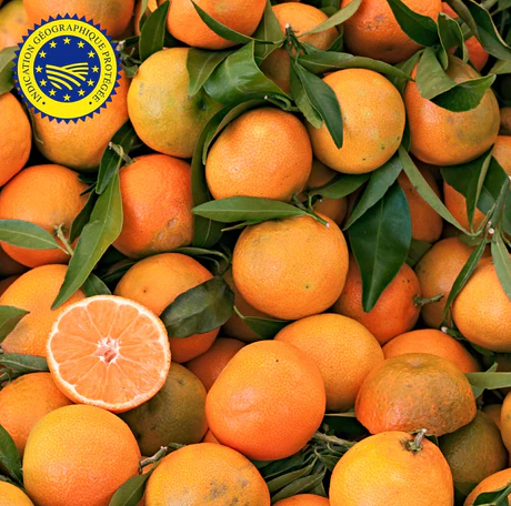CLEMENTINE FEUILLE