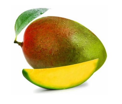 MANGUE BIO OSTEEN