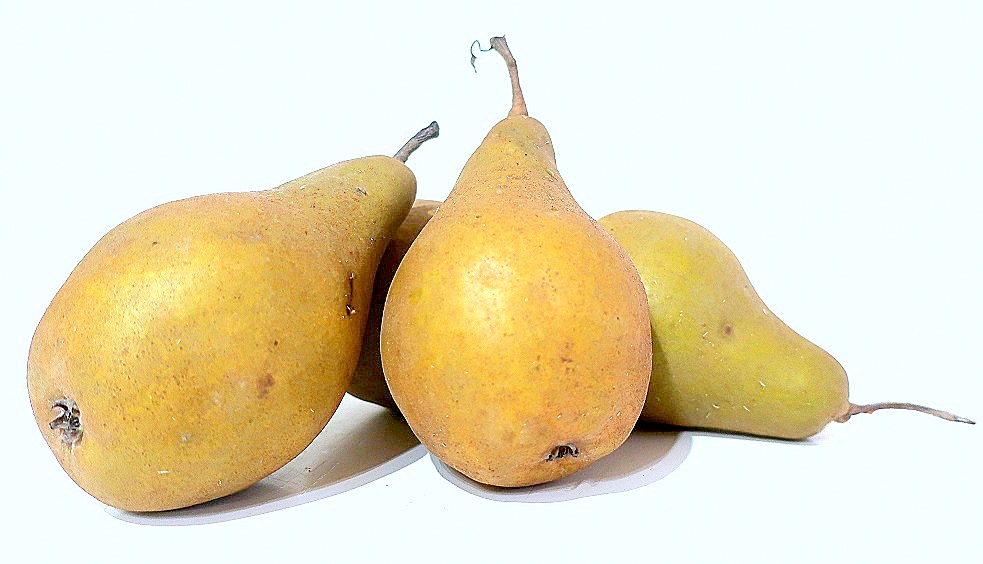 POIRE BIO ANGELYS 