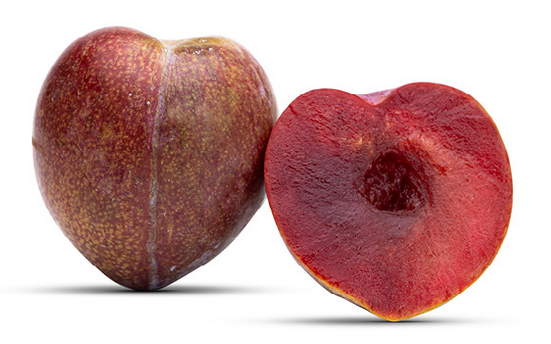 PRUNE LOVITA