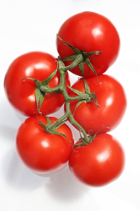 TOMATE GRAPPE